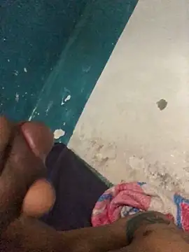 vermexit webcam