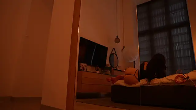 ibiddi webcam