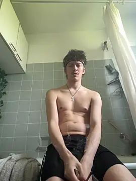 Toyjungee webcam