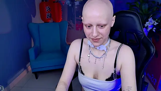 LidaDarknet webcam