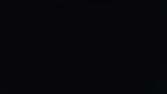yourvibedealer webcam