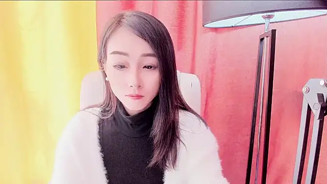 NIAN-er webcam