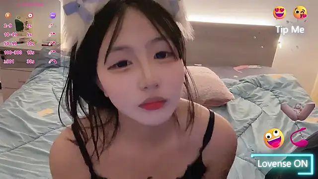 zhnlxj webcam