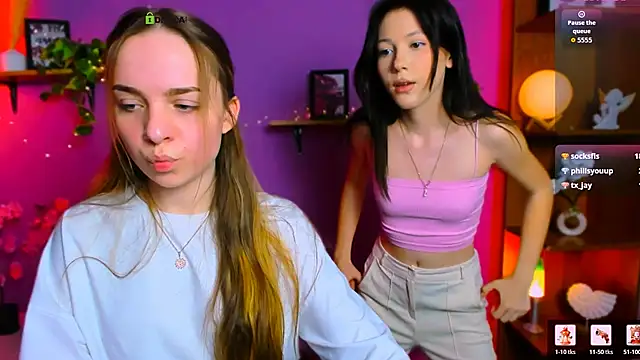 arya_icon webcam