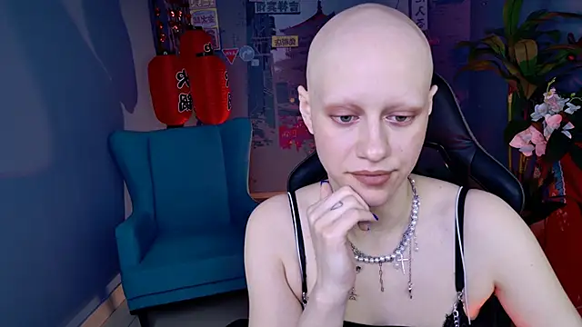 LidaDarknet webcam