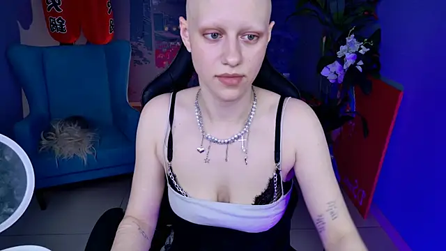 LidaDarknet webcam