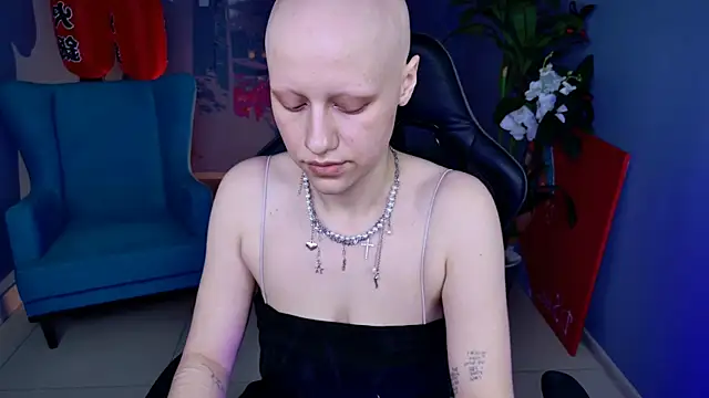 LidaDarknet webcam