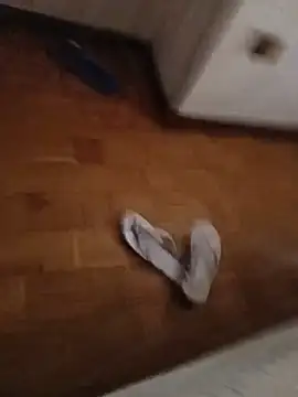 cesco_93x webcam