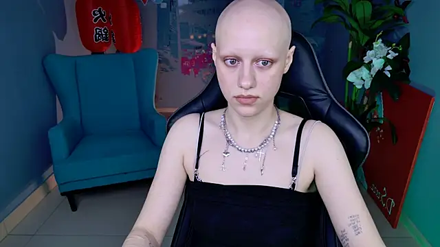 LidaDarknet webcam