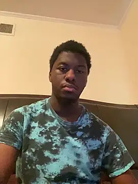 ThickDic28 webcam