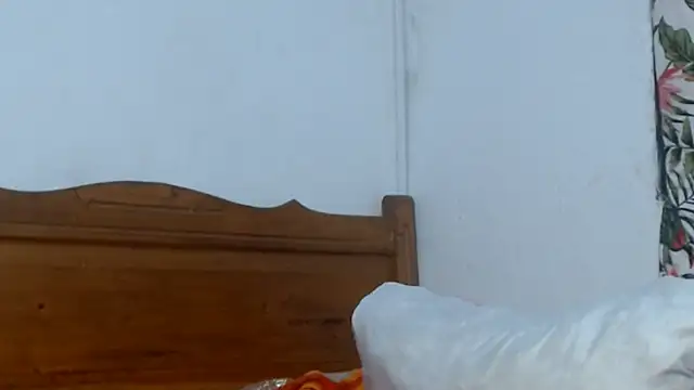 smallalyross webcam