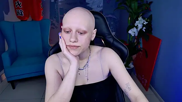 LidaDarknet webcam