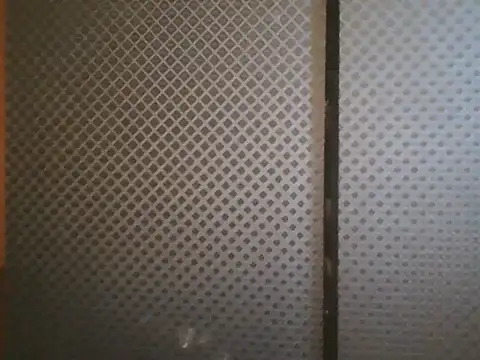 projectdivad webcam