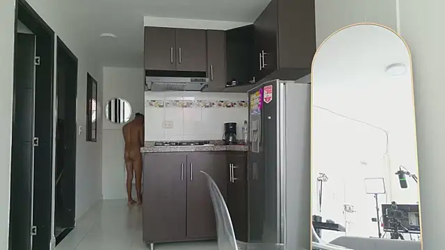 grey___27 webcam