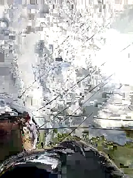 PIGHIGHDIRTY_p0 webcam