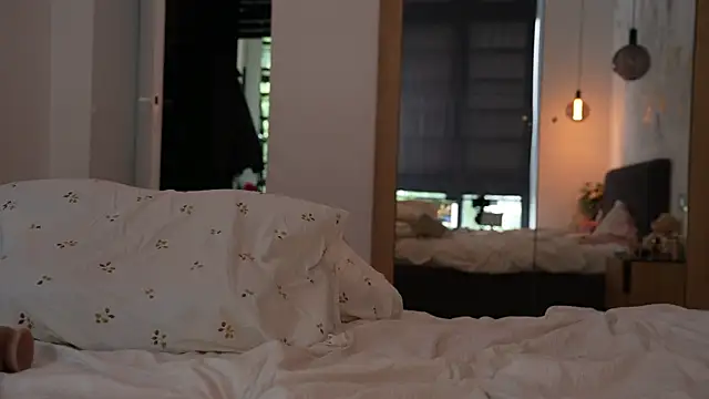ibiddi webcam