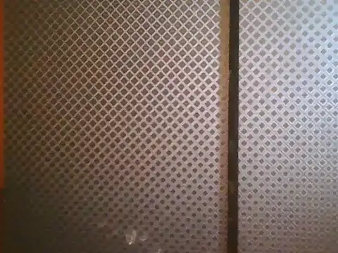 projectdivad webcam