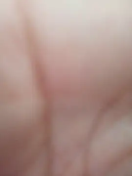 sua_sub_ webcam