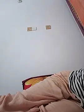 Hot_Angle webcam