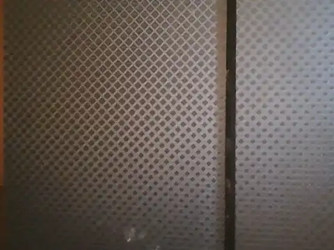 projectdivad webcam