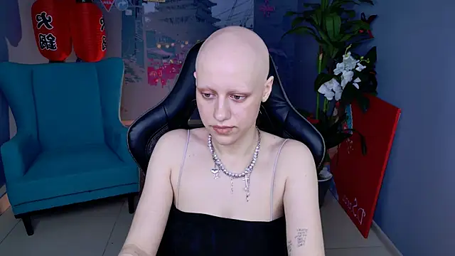 LidaDarknet webcam