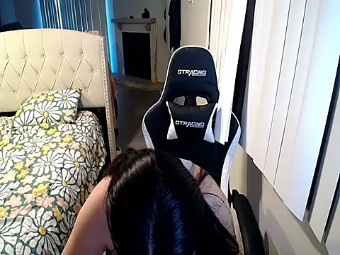 asly1 webcam