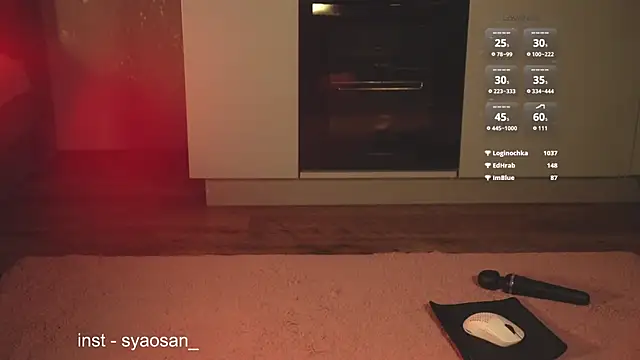 Arlitik webcam