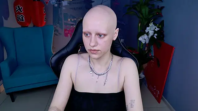 LidaDarknet webcam