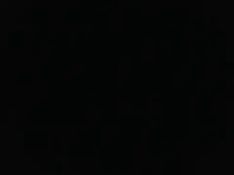 sebasevi webcam
