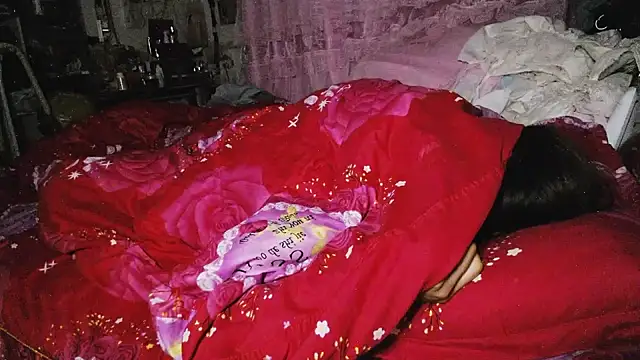 hebe-02 webcam