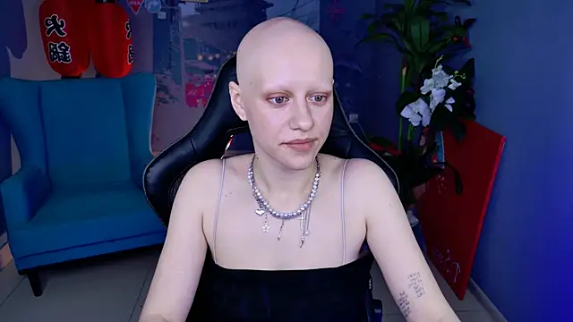 LidaDarknet webcam