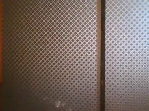projectdivad webcam