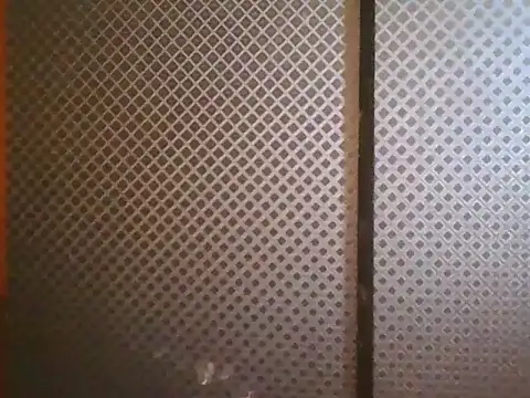 projectdivad webcam