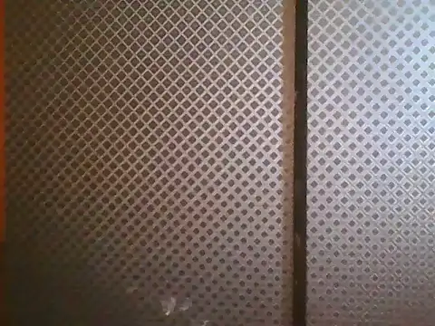 projectdivad webcam