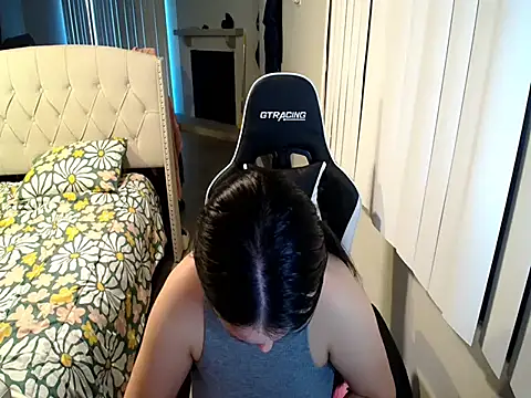 asly1 webcam