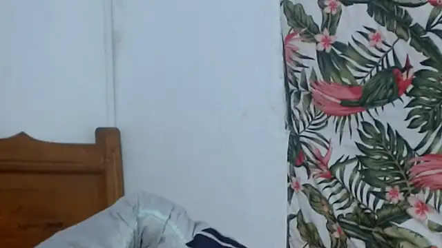smallalyross webcam