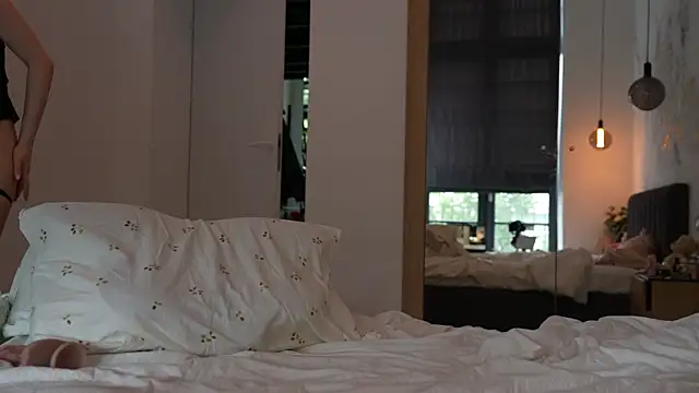 ibiddi webcam