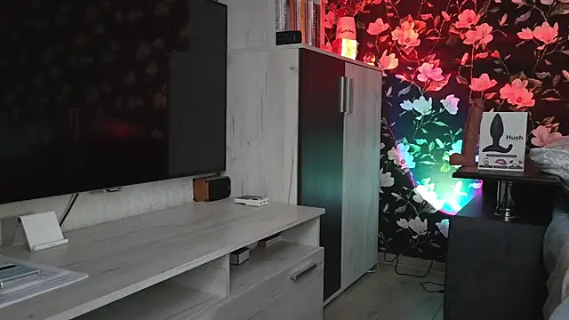 Vuitton webcam