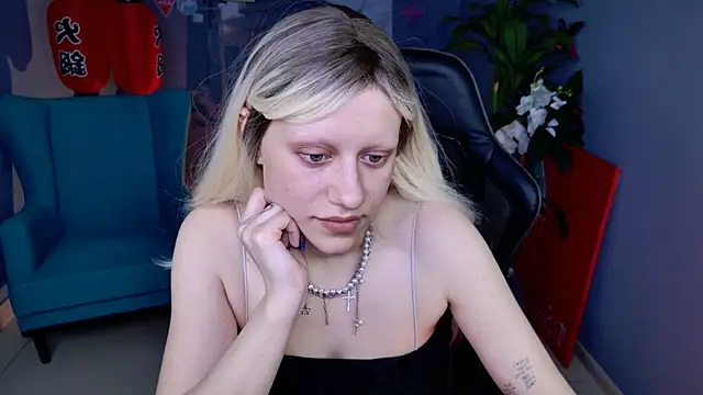 LidaDarknet webcam