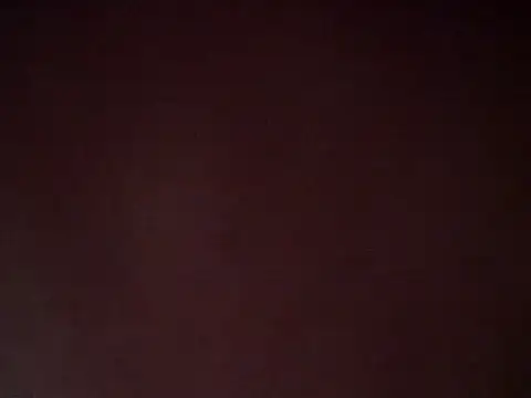 Sofiia_Vega_ webcam