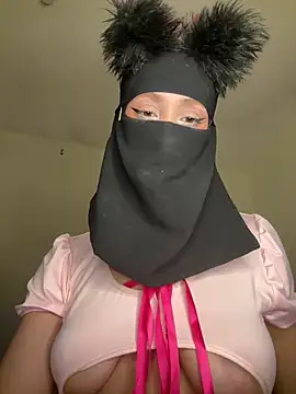 arabayla webcam
