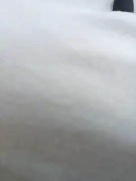 Sexymorr webcam