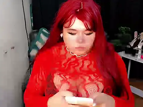 Goddes12inchTS webcam