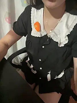 kyoto-to webcam