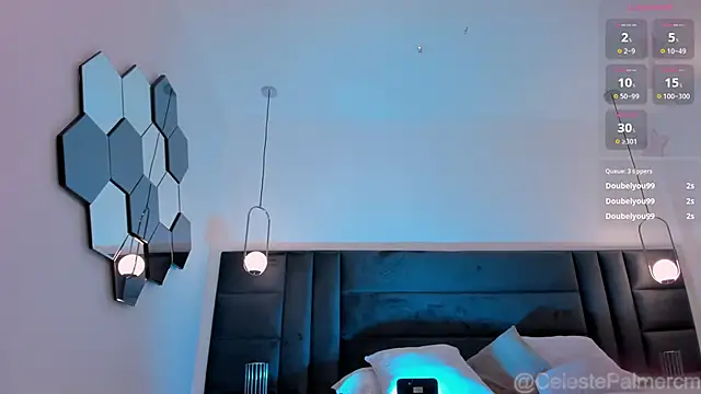 CelestePalmer_ webcam