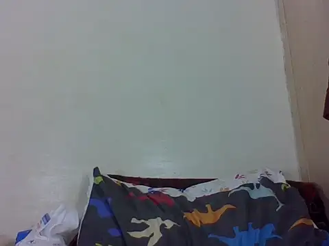 vinsishly webcam