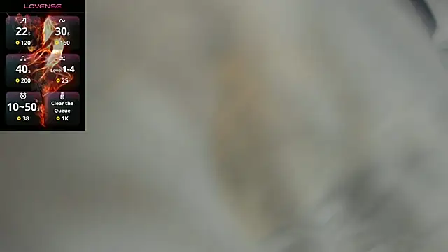 lianfox_ webcam