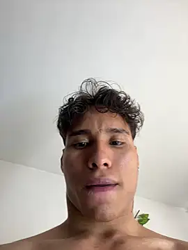 NelModel1 webcam
