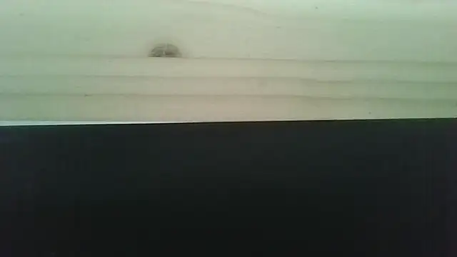 Hendrikje webcam