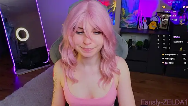 zelda_1 webcam